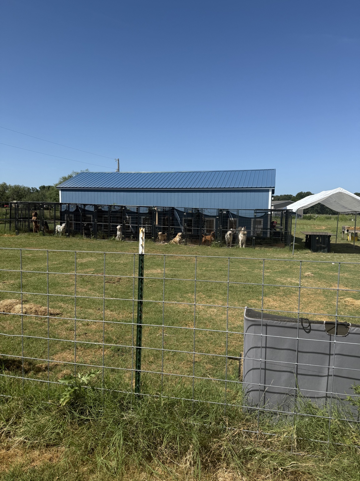 The blue-roofed building, dog runs, shade cover, and open grounds at EveryBuddy